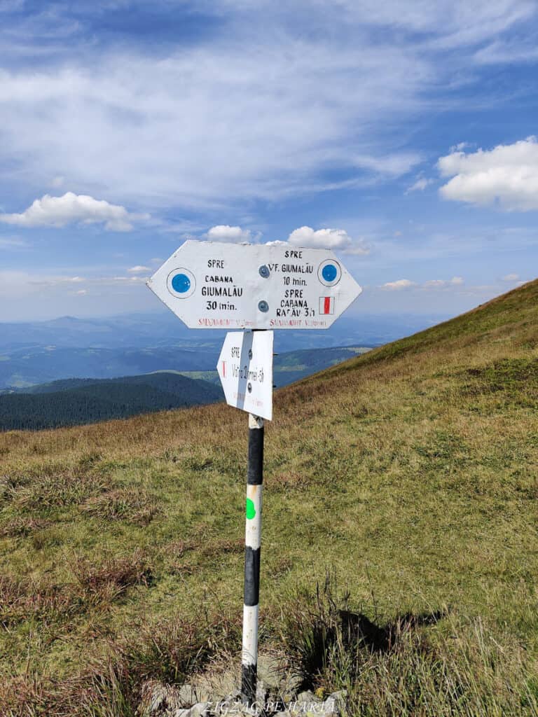 Vârful Giumalău 1858 metri - Blog de calatorii - ZIGZAG PE HARTĂ - IMG 20200806 122252