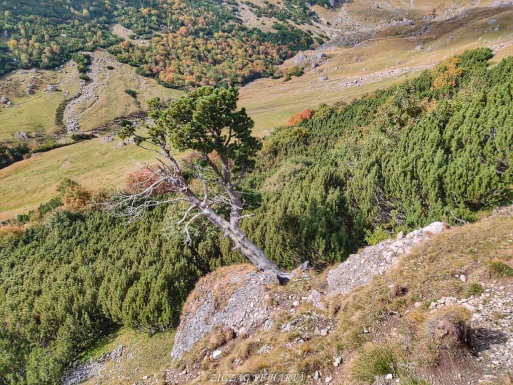 Cascada Obârșia Ialomiței - Blog de calatorii - ZIGZAG PE HARTĂ - IMG 20190928 151429 01