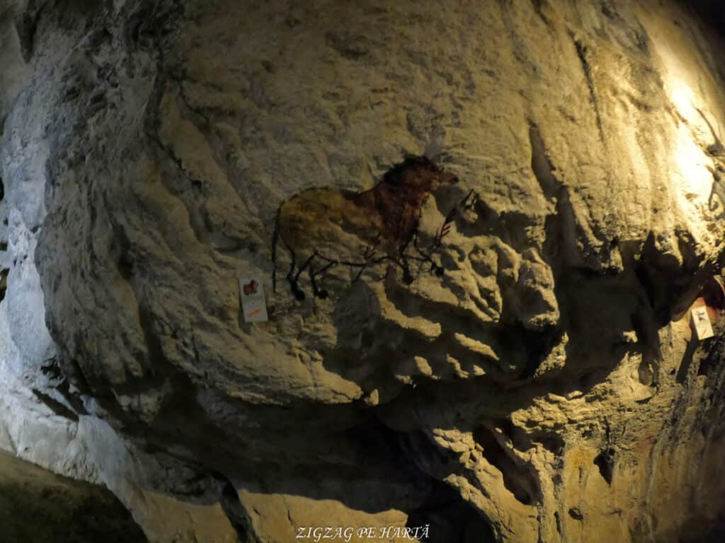 Peștera Bolii - Blog de calatorii - ZIGZAG PE HARTĂ - GOPR1036