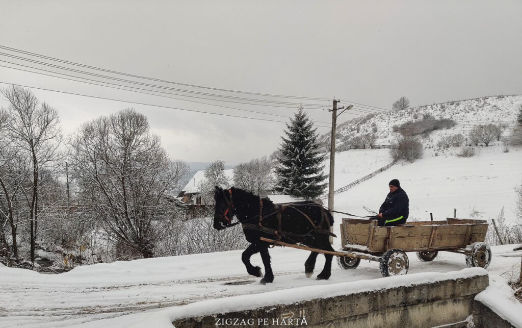 Belvedere Vârful Tarnița - Toplița - Blog de calatorii - ZIGZAG PE HARTĂ - IMG 20220130 145127 01