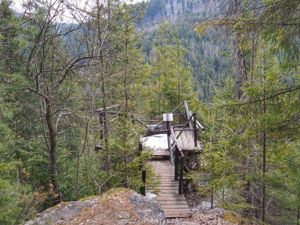 Drumeție prin Rezervația Naturală Scaunul Rotund din Borsec - Blog de calatorii - ZIGZAG PE HARTĂ - ADL52290 01