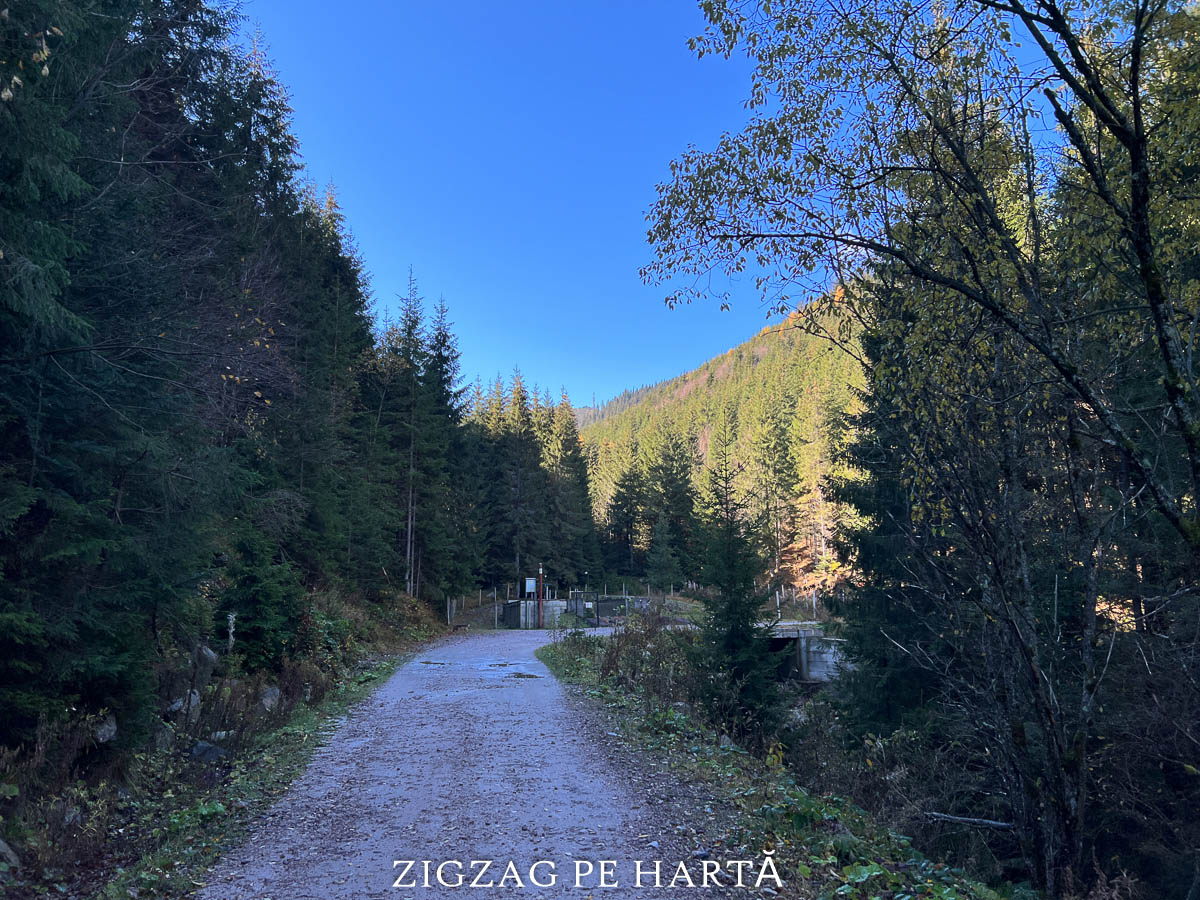 Vârful Bihor (Curcubăta Mare) 1849 m - Blog de calatorii - ZIGZAG PE HARTĂ - IMG 0526