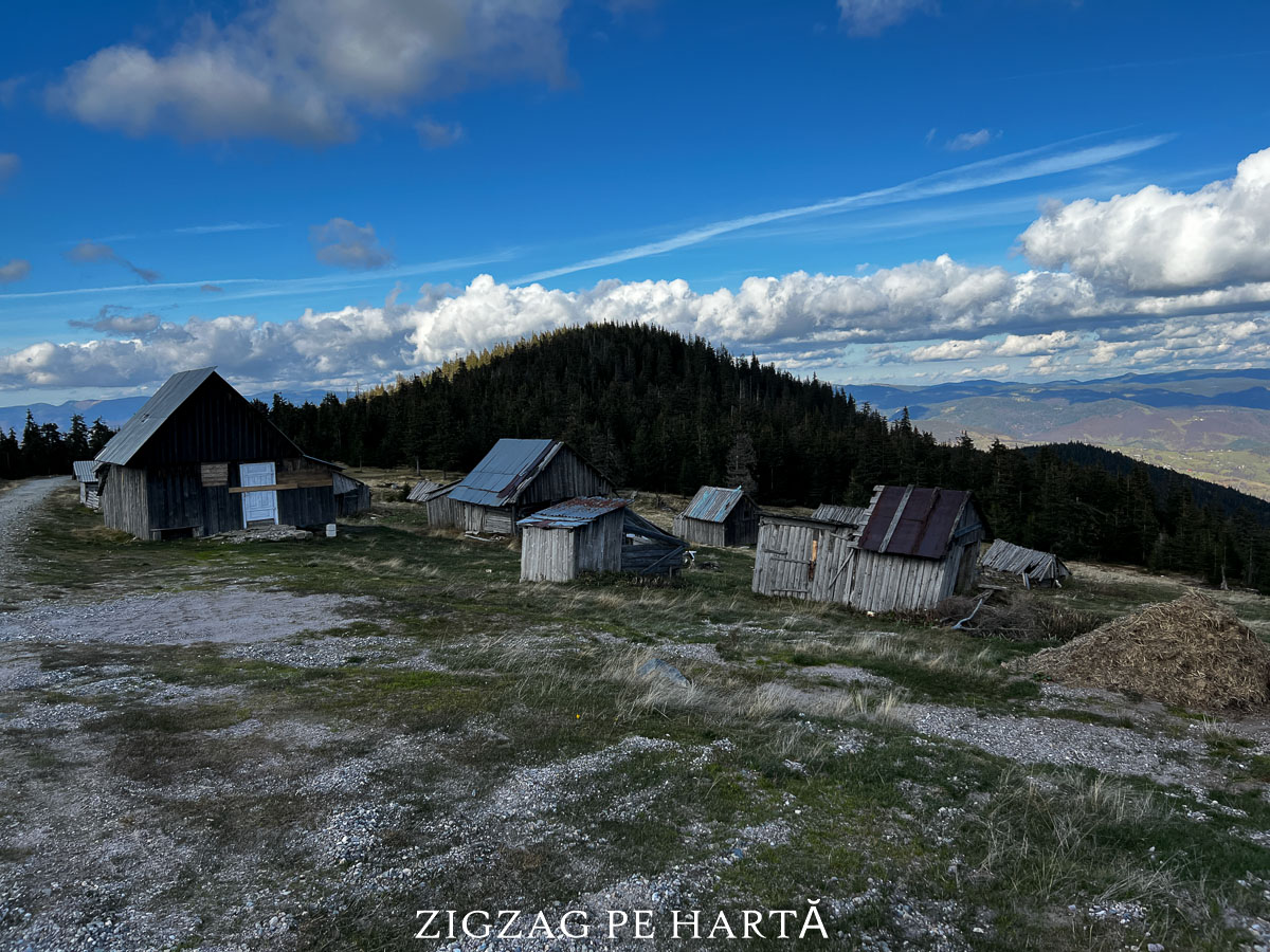 Vârful Bihor (Curcubăta Mare) 1849 m - Blog de calatorii - ZIGZAG PE HARTĂ - IMG 0667