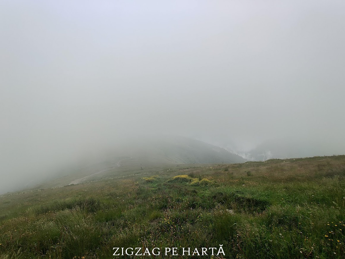 Vârful Bihor (Curcubăta Mare) 1849 m - Blog de calatorii - ZIGZAG PE HARTĂ - IMG 20200725 111901