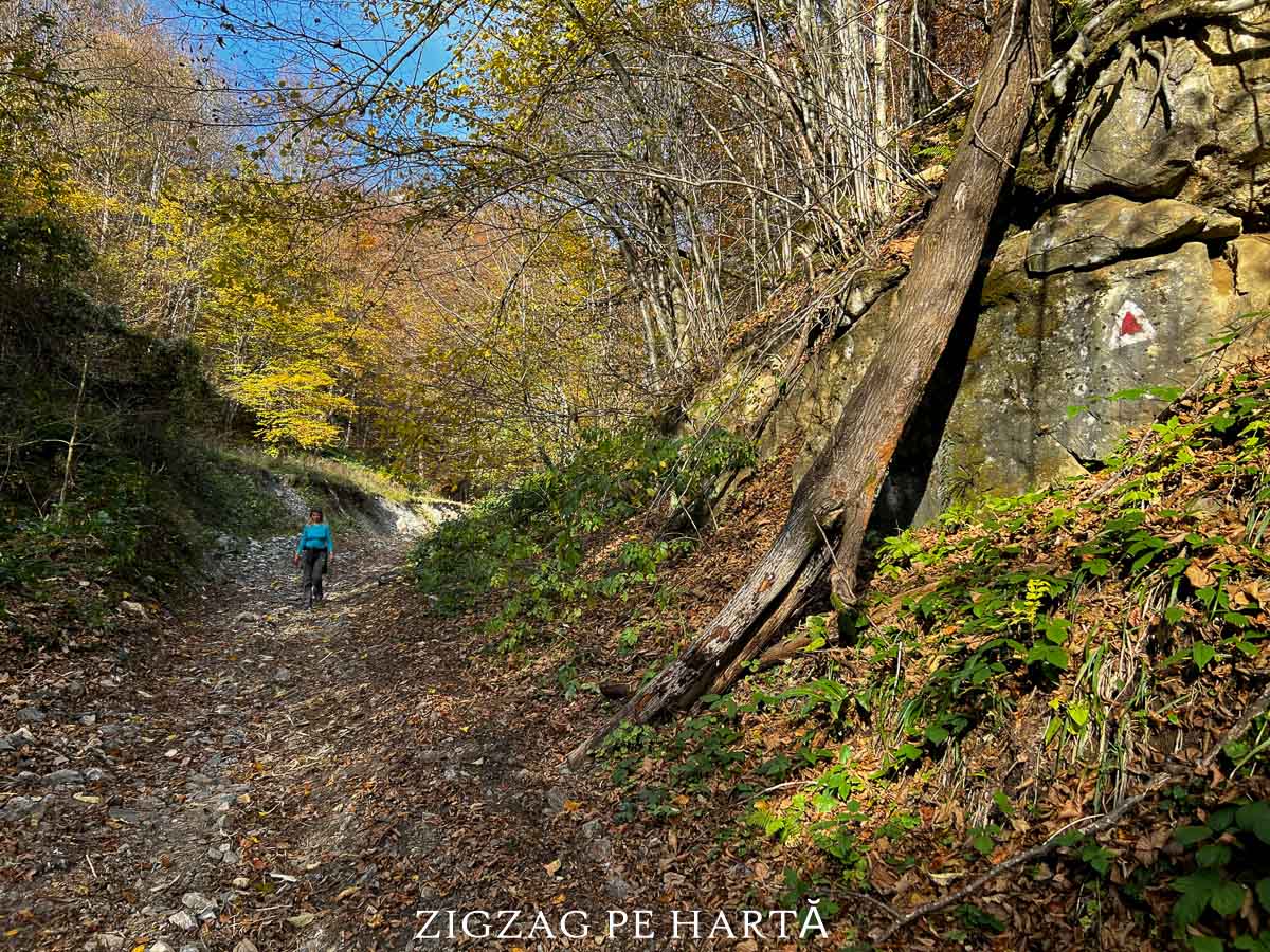 Peștera Porțile Bihorului - Blog de calatorii - ZIGZAG PE HARTĂ - IMG 1498