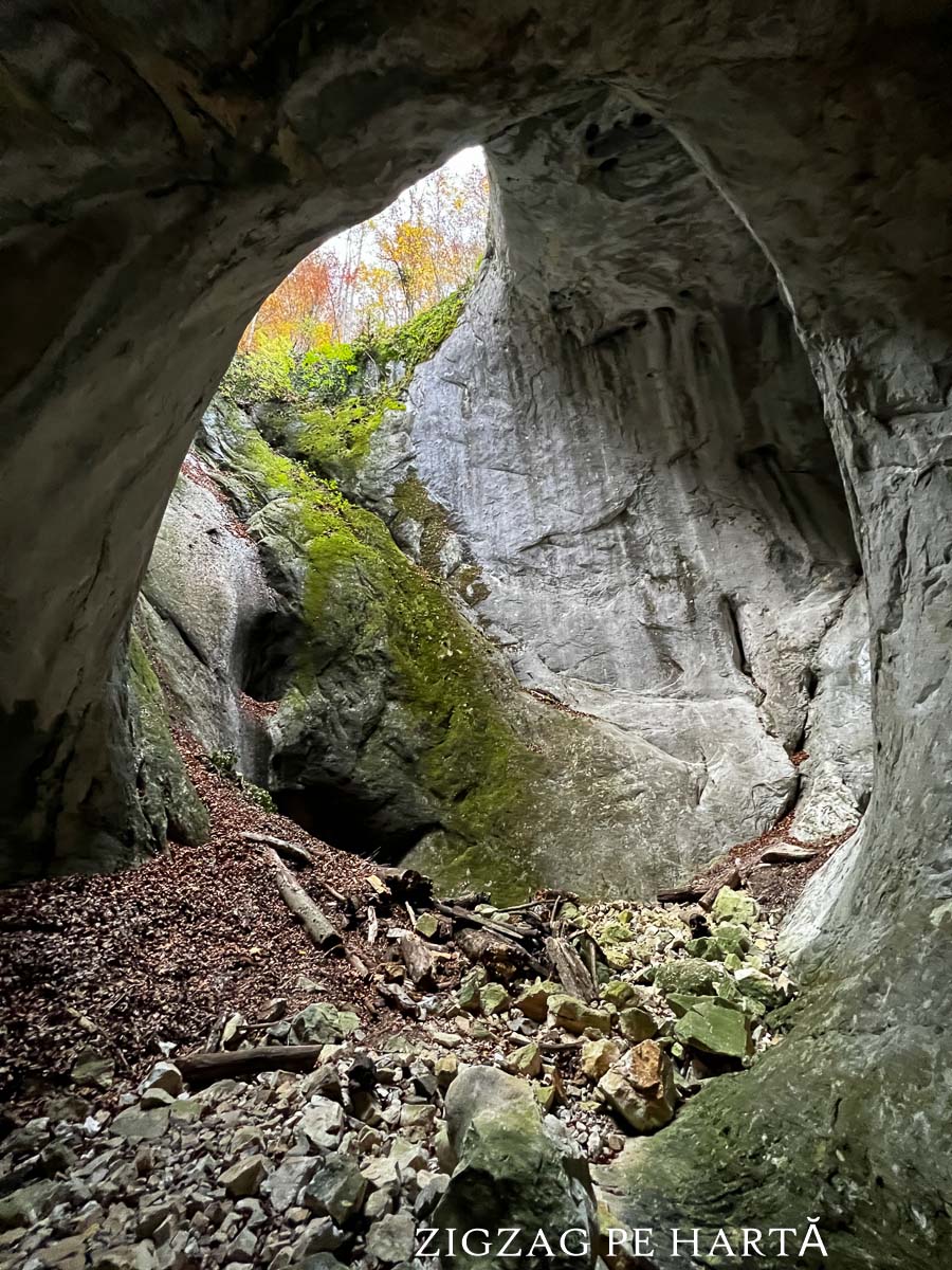 Peștera Porțile Bihorului