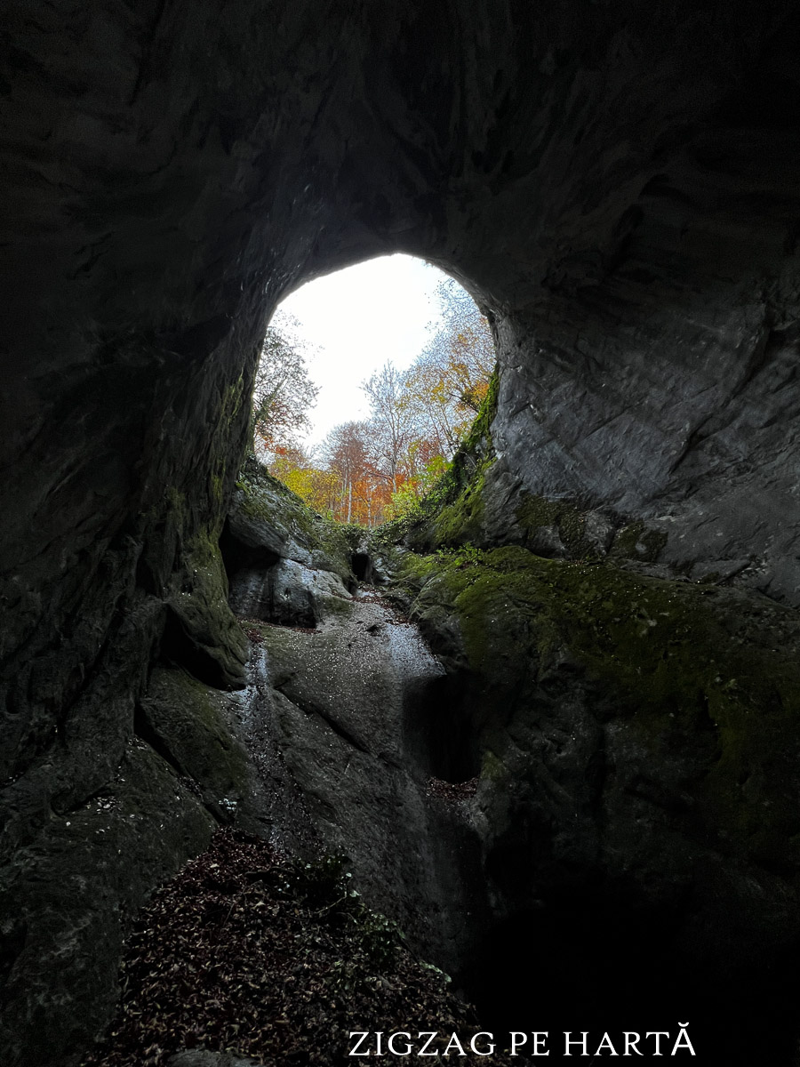 Peștera Porțile Bihorului