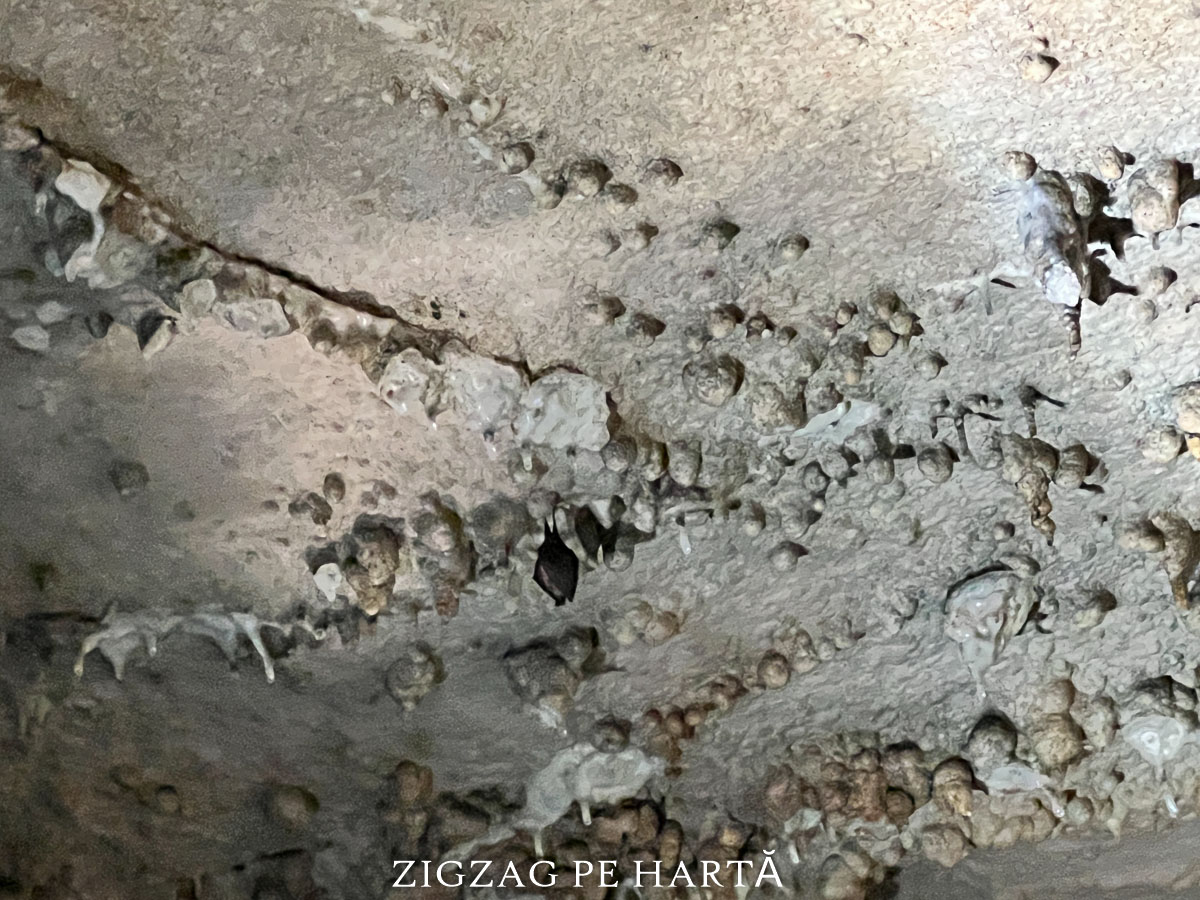 Peștera Vadu Crișului și Cascada Vadu Crișului - Blog de calatorii - ZIGZAG PE HARTĂ - IMG 2490