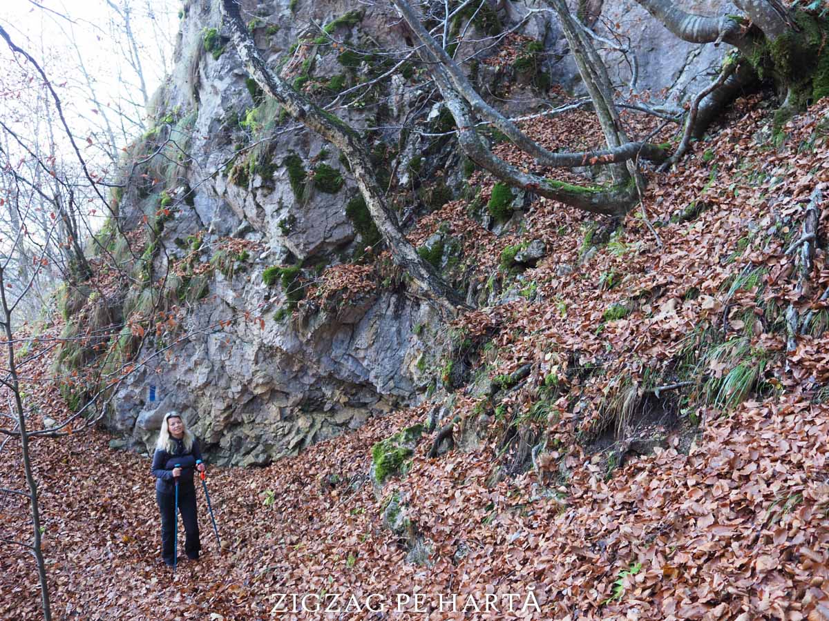 Cheile Siloșului din Munții Trascăului - Blog de calatorii - ZIGZAG PE HARTĂ - ADL24469