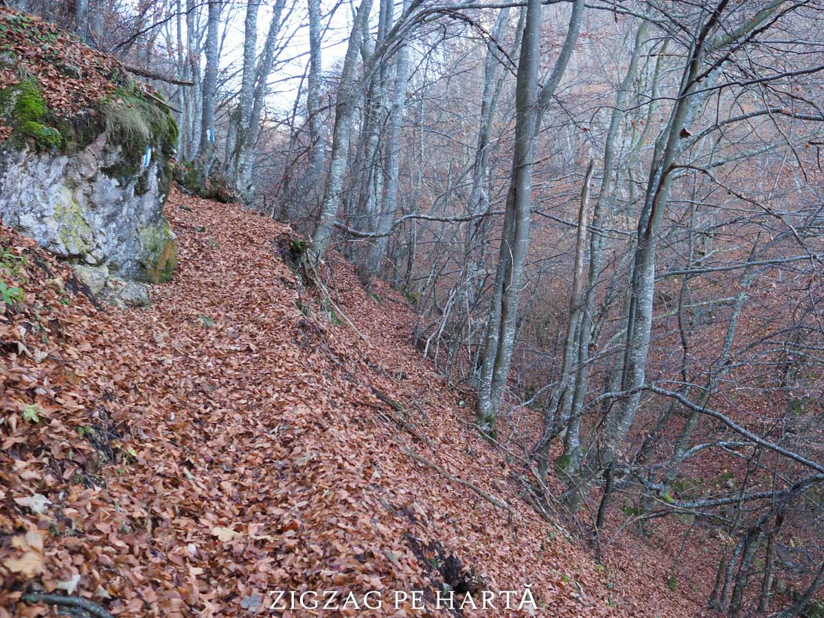 Cheile Siloșului din Munții Trascăului - Blog de calatorii - ZIGZAG PE HARTĂ - ADL24470