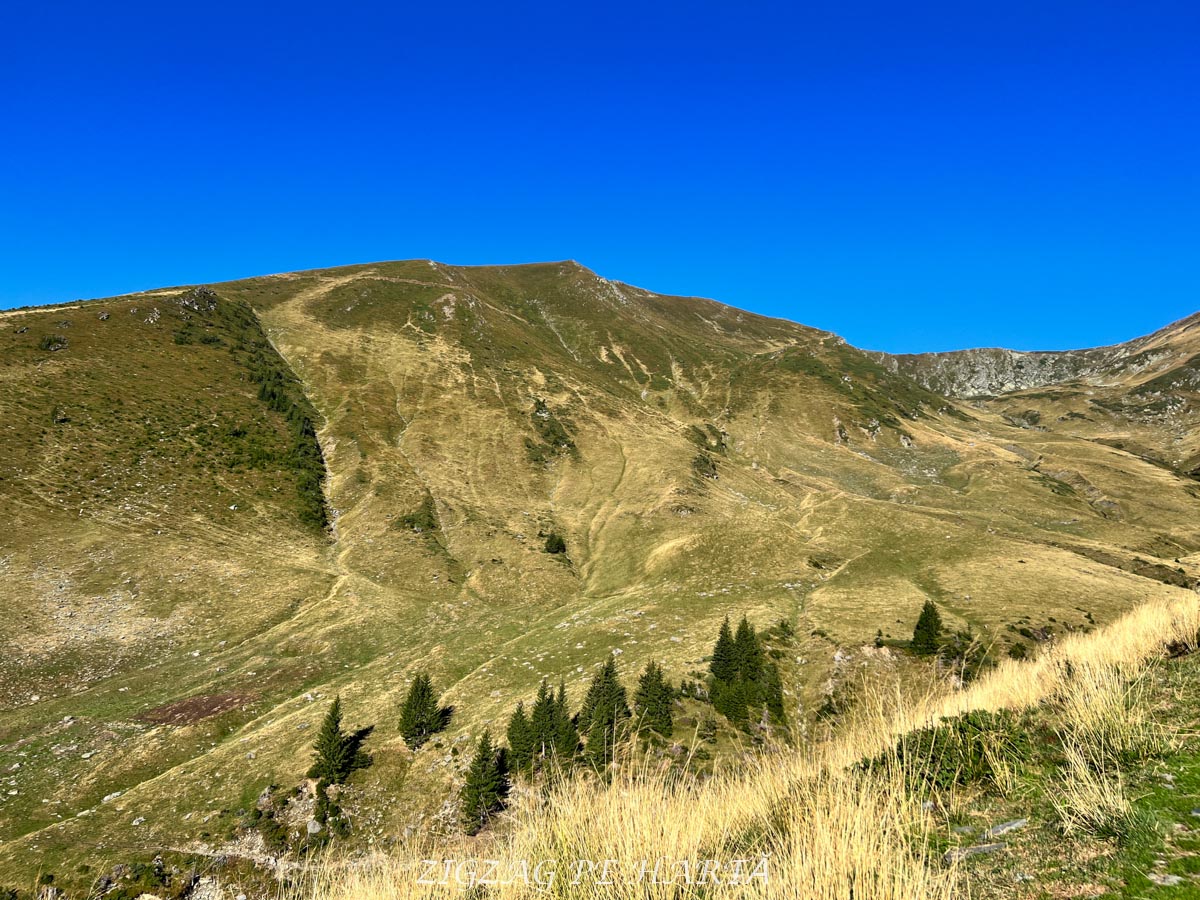 Vârful Lespezi, 2517 metri - Blog de calatorii - ZIGZAG PE HARTĂ - IMG 2469