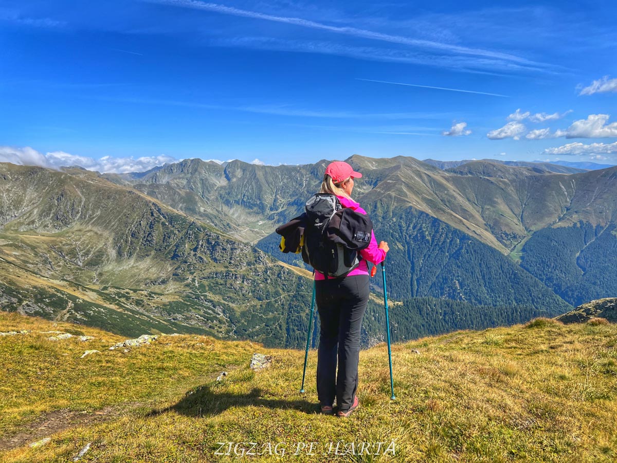 Vârful Lespezi, 2517 metri - Blog de calatorii - ZIGZAG PE HARTĂ - IMG E2653