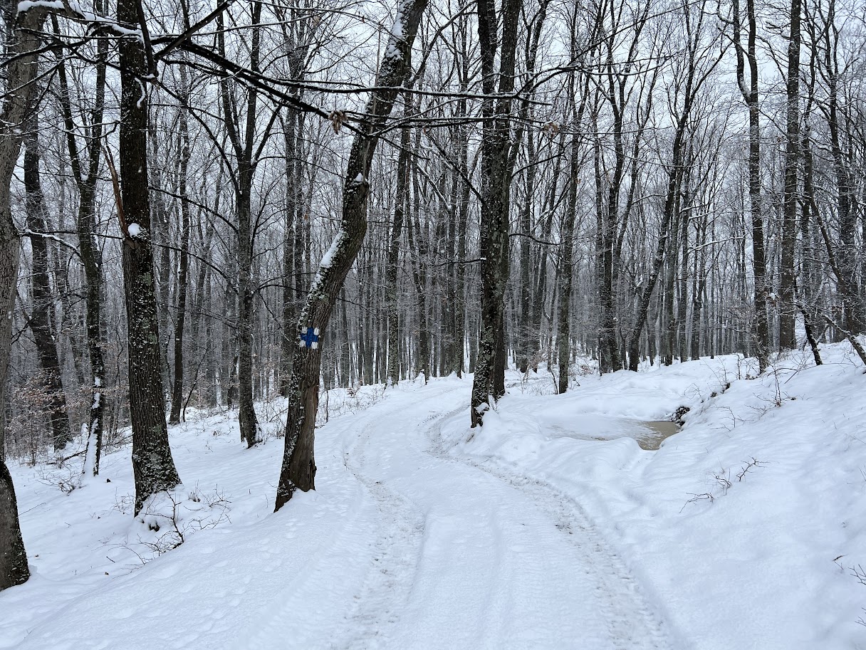 Trasee ușoare de iarnă spre Piatra Secuiului, 1129 metri - Blog de calatorii - ZIGZAG PE HARTĂ - IMG 3840 1