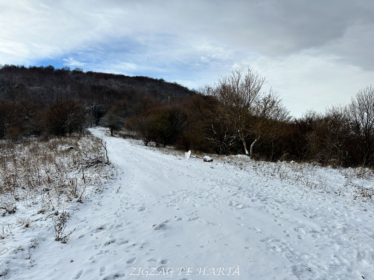 Trasee ușoare de iarnă spre Piatra Secuiului, 1129 metri - Blog de calatorii - ZIGZAG PE HARTĂ - IMG 4854