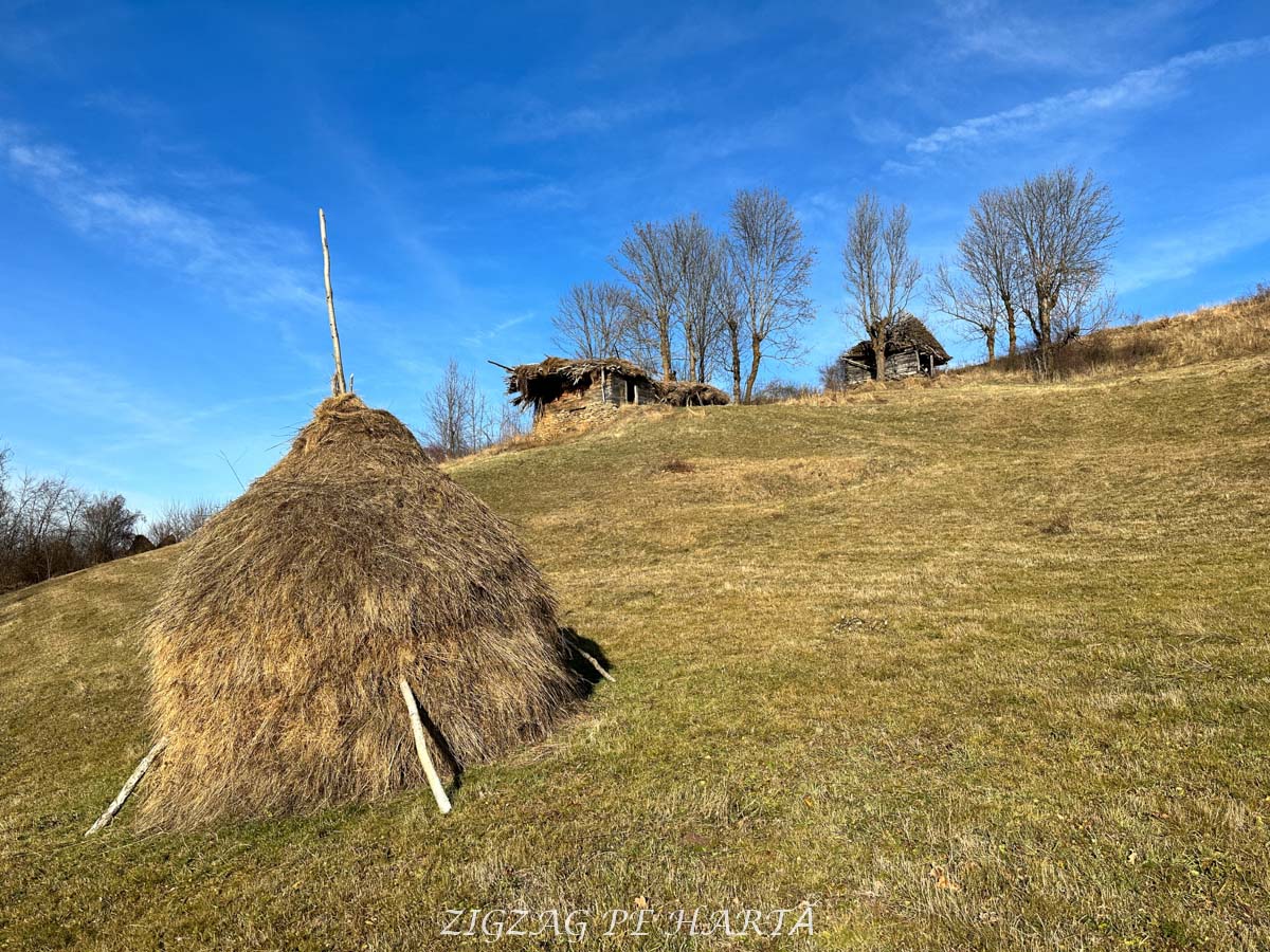 Colibele păstorilor din Cătunul Dumești - Blog de calatorii - ZIGZAG PE HARTĂ - IMG 5221